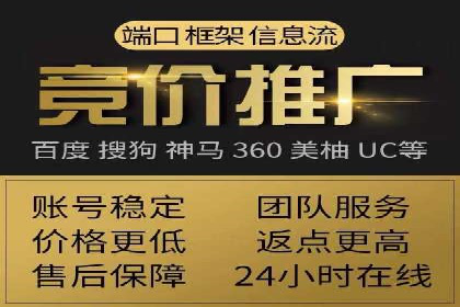 SEM服务案例：打造行业领先品牌